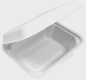 Bagasse menu box 183x137x68mm