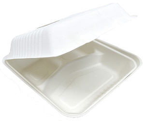 Bagasse menu box groot 3 vaks