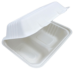 Bagasse menu box middel 2 vaks