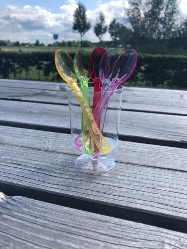 IJslepeltje plastic 12,5 cm