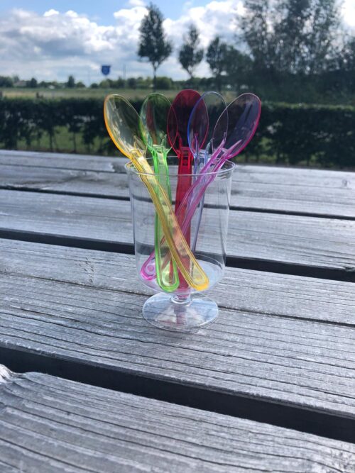 IJslepeltje plastic 12,5 cm