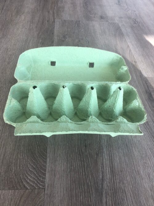 Eierdoosjes 10 stuks (groen) (65 stuks)