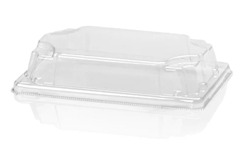 Sushi tray met deksel 140 - Afbeelding 2