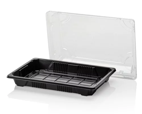 Sushi tray met deksel 165